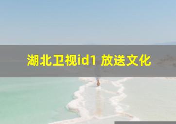 湖北卫视id1 放送文化